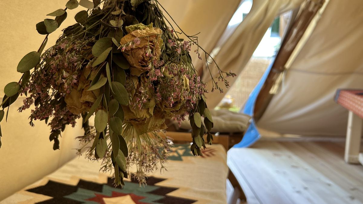 Kräuter im Tipi